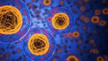 O toxină bacteriană, posibil factor responsabil pentru creșterea cazurilor de cancer de colon la tineri. Iată despre ce este vorba