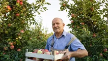 La ce trucuri apelează fermierii pentru a-și salva livezile de ger: „Sunt anumite posibilităţi de încălzire în plantaţii, dar sunt destul de costisitoare”