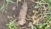 Alertă în Tulcea: Proiectil cu două kilograme de explozibil, descoperit într-o curte