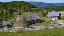Viață nouă în mijlocul naturii: O casă complet utilată din Serbia este oferită gratuit unei familii tinere