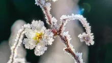 Un val de frig intens se pregătește să lovească România! Ce surprize ne rezervă vremea în următoarele zile