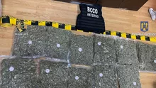 Captură importantă de droguri la Cluj Napoca. Bărbat prins cu 11,6 kilograme de canabis