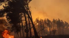 Spania este în flăcări! Temperaturile ridicate aduc cu ele incendii de vegetație