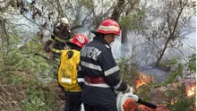 Incendiul din Delta Dunării, din ce în ce mai greu de stins! Ce au declarat reprezentanții ISU Tulcea