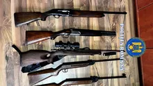 Braconaj și arme deținute ilegal în Timiș. Ce au descoperit polițiștii în urma perchezițiilor