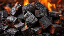 Rețea europeană acuzată că transforma cenușă toxică în cărbuni pentru grătar. Ce au descoperit autoritățile italiene