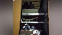 (VIDEO) Polițiștii de frontieră din Calafat au făcut o descoperire neașteptată într-un camion care transporta mașini second-hand