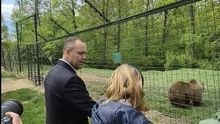 (FOTO) Președintele Poloniei a adoptat simbolic un urs la Zărnești. Cine este Batyr, animalul care l-a cucerit pe liderul polonez
