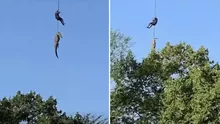 Căutări dramatice după dispariția unui om de afaceri în Africa de Sud. Cum a dus ancheta la un crocodil suspect (VIDEO)