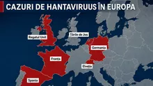 Lista țărilor europene unde au fost confirmate cazuri de hantavirus după focarul de pe nava MV Hondius