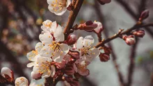 Vremea, 14 mai: Temperaturile cresc ușor, dar rămânem cu o atmosferă răcoroasă