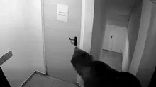 Urs într-un hotel din Poiana Brașov. Angajații au păzit turiștii toată noaptea după un răspuns șocant primit la 112: „Deja e de speriat”(VIDEO)