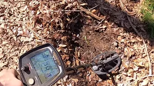 Descoperire uimitoare făcută de un jandarm într-o pădure din Botoșani. Are o vechime de 4.000 de ani