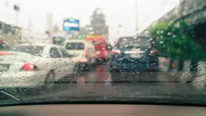 Furtunile și vântul puternic au făcut ravagii în România. Femeie din Brăila, la un pas de moarte după ce un copac s-a prăbușit peste ea