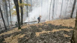 Intervenții pentru stingerea incendiilor de vegetație în Caraș-Severin și Hunedoara. Forțele Aeriene Române, în misiune