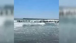 Steagul roșu ignorat de turiști pe litoral: Un bărbat s-a înecat. Patru persoane salvate după ce turiștii au format lanț uman (VIDEO)
