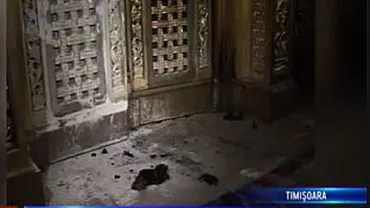 Timișoara: Un tânăr a vrut să dea foc altarului Catedralei Mitropolitene