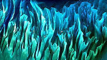 Imagini spectaculoase captate cu ajutorul radiaţiilor