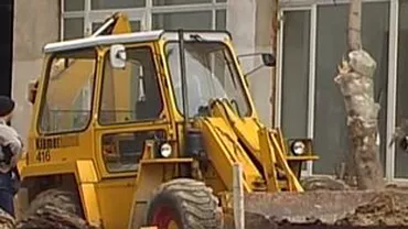 MAE contrazice Olanda în privinţa muncitorilor români