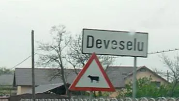 Primarul din Deveselu: Băsescu mi-a cerut acordul pentru instalarea scutului antirachetă