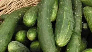 România nu a importat castraveţi contaminați cu bacteria E.coli