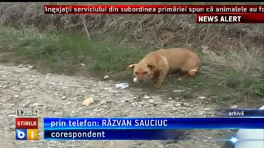 Traian Igaş şi Sorin Blejnar, invitaţi luni seară la Evenimentul Zilei, pe B1 TV