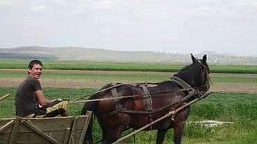 Legea pământului în Prahova: Și-a înjunghiat cumnatul pentru că i-a trecut cu căruța peste proprietate