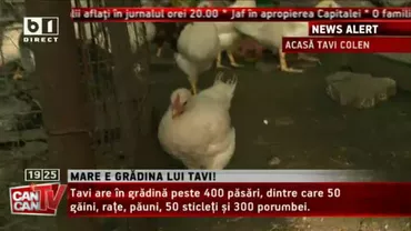 Oțelul Galați câștigă Supercupa României, după ce învinge Steaua cu 1-0