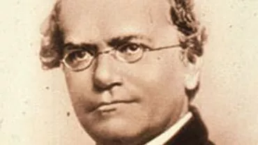 Google aniversează 189 de ani de la nașterea lui Gregor Mendel, părintele geneticii moderne