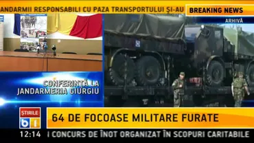 Maidanezii din România, mai agresivi din cauza caniculei. Ce boală ne pot transmite