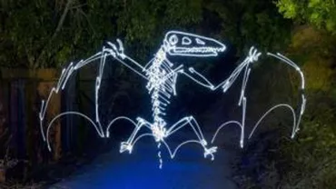 Inedit: Un artist creează desene cu dinozauri din lumini! (FOTO)