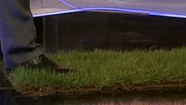 Robert Turcescu: La Național Arena a fost bătaie de joc. VEZI ce gazon a propus jurnalistul și cum rezistă (VIDEO)