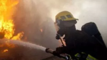 Pompierii au stins incendiul care a afectat un complex din Rezervaţia Biosfera Deltei Dunării
