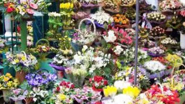 Razii la florăriile din București în prima zi de școală