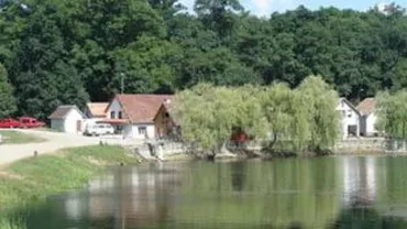 Arad: O șopârlă uriașă a fost descoperită pe malul Mureșului (FOTO)