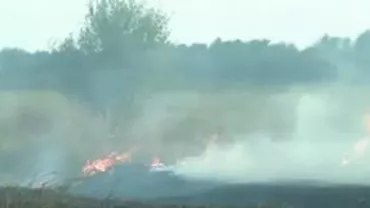 Incendiu de amploare în Ilfov: Opt hectare de pădure au fost distruse