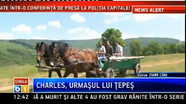 Imagini șocante: Soldați sirieni, filmați în timp ce împușcă 13 măgari (VIDEO)