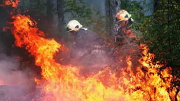 Incendiu de vegetație în Masivul Parâng: Zeci de pompieri se luptă cu flăcările la peste 1.700 de metri altitudine