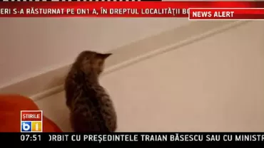 Germania: Mai multe dispozitive incendiare au fost descoperite pe linii feroviare