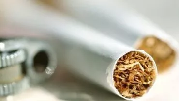 Captură record de țigări în Galați: Polițiștii au confiscat 176.000 de pachete (VIDEO)