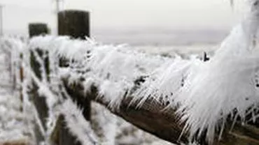 Iarnă în mijlocul lui noiembrie, cu minime de -12 grade, în Maramureș. În Argeş au înflorit merii