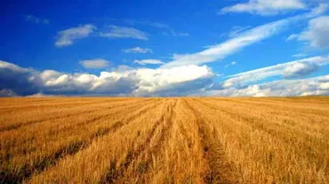 Agricultura a scăzut IQ-ul oamenilor