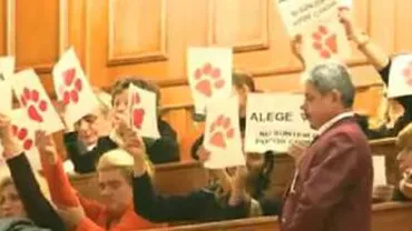 Crize de nervi în Parlament, după adoptarea Legii câinilor comunitari: „Ne-am săturat de voi!” (VIDEO)