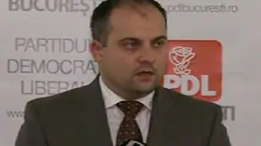 Soluții pentru legea câinilor comunitari: PDL vrea să lanseze un tel verde pentru cei care vor să adopte maidanezi