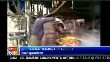 Fosilele unui piton, vechi de 15 milioane de ani, descoperite în Germania