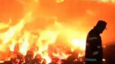 Incendiu la Constanța: Focul a distrus mii se baloți de paie la o fermă din apropierea Aeroportului Internațional Mihail Kogălniceanu