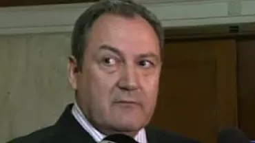 Deputatul PSD Vasile Bleotu, după ce a jignit-o pe șefa Comisiei de Buget Finanțe: E o curvă politică, dar o stimez