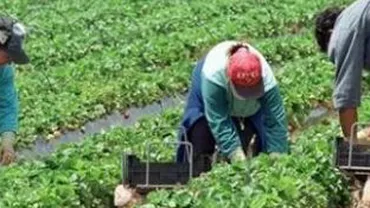 Uși închise pentru români și bulgari: Irlanda și Belgia prelungesc restricțiile pe piața muncii