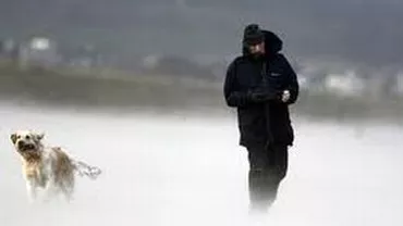 Avertizare ANM: Vânt puternic în sudul județului Caraș-Severin și în Munții Banatului. Vezi prognoza meteo în următoarele zile