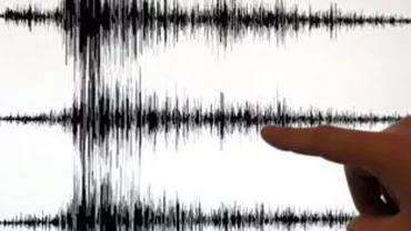 Cutremure în lanț: Două seime au avut loc în Vrancea, la o diferență de doar 5 minute